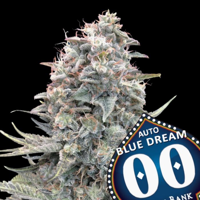 Auto Blue Dream