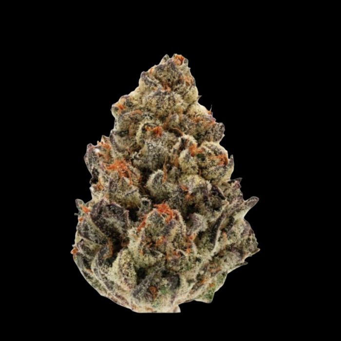 Bruce Banner III