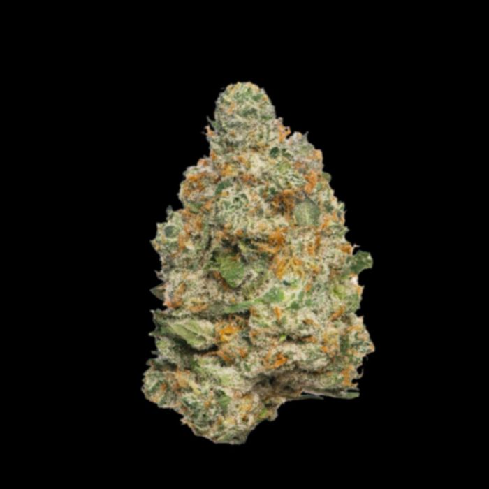 Apple Fritter Autoflower