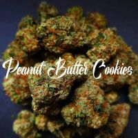 Peanut Butter Cookies Feminisierte Hanfsamen