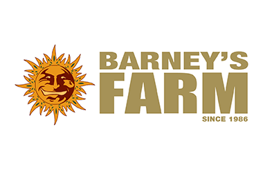 Barneys Farm Samen